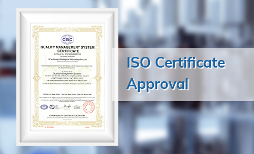 ISO-Certificate-Approval.jpg